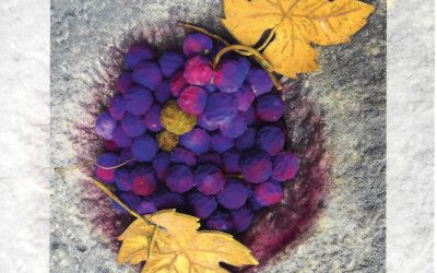 Diva – Doniamoci Inverosimili Vendemmie Auree